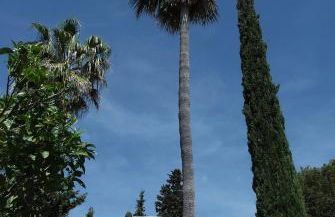 Can Bellet, suspiros ibicencos - Photo 38