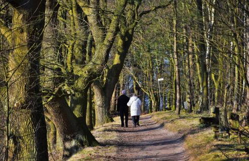 Alter Ortskern Worpswede - Foto 28