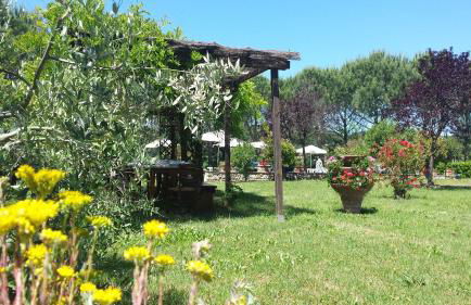 Agriturismo Il Catrino - Foto 30