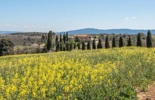 Casa Rollo - Foto 21