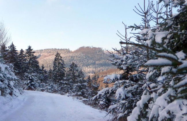 Apartment on the Edge of the Forest - Foto 34