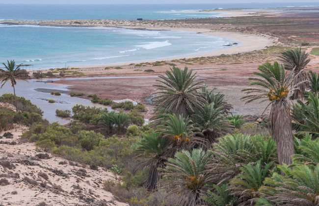 North East Boa Vista + Ervatão Beach Tour - Foto 8