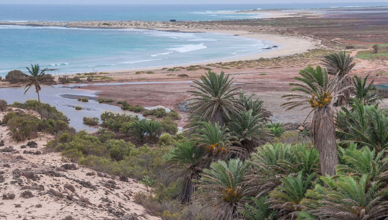 North East Boa Vista + Ervatão Beach Tour - Foto 1