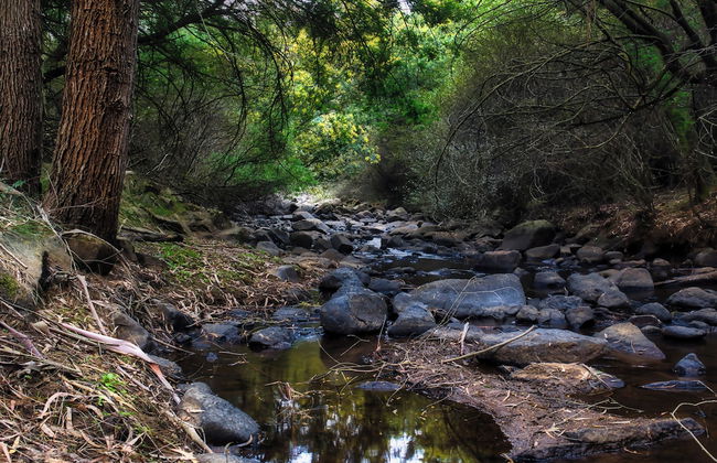 Hawklee Country House - Foto 68