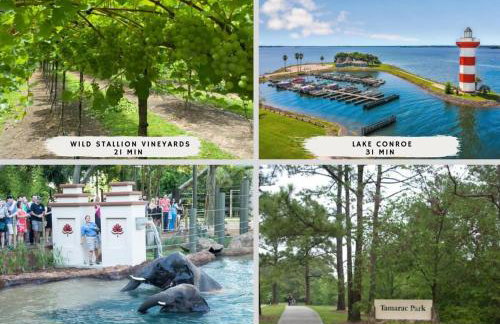 Luxury Mansion Dream Home - 6 Bed Pool Grill - Photo 46