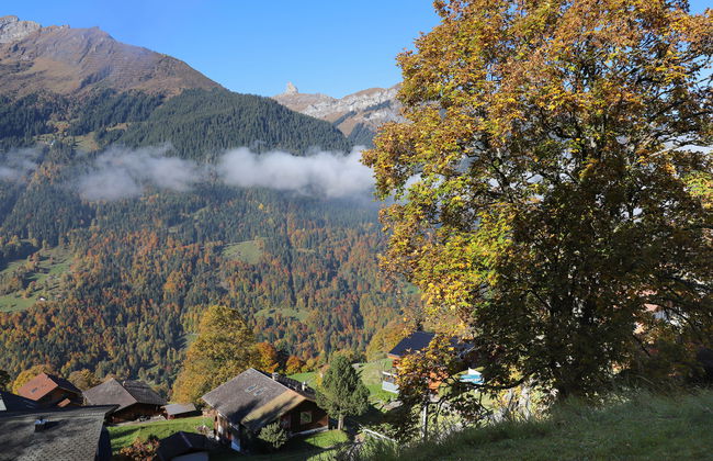 Primula Apt. B - Foto 4