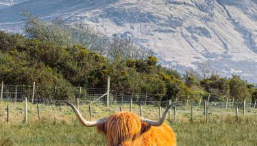 Croft cabin - Photo 5