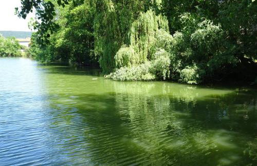 Wohnung im Kutscherhaus - Foto 12