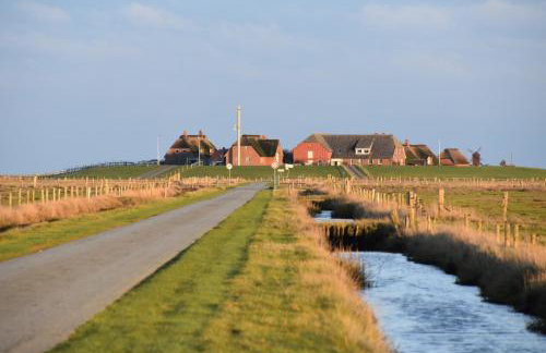 Friesenblau im Haus Schladenhaufen - Foto 21