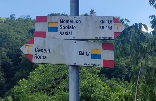 Umbria Valnerina , Il TARTUFFO, sulla via di Francesco - Photo 45