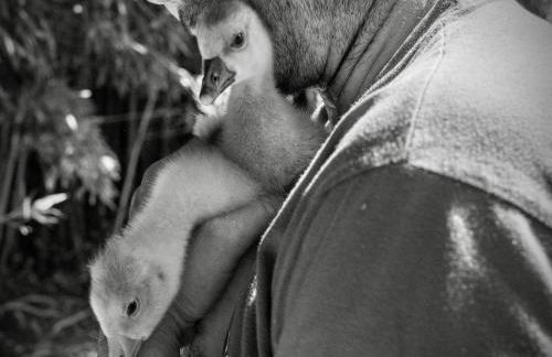 Holiday Home Moulin de Tartay in Avignon by Interhome - Photo 55