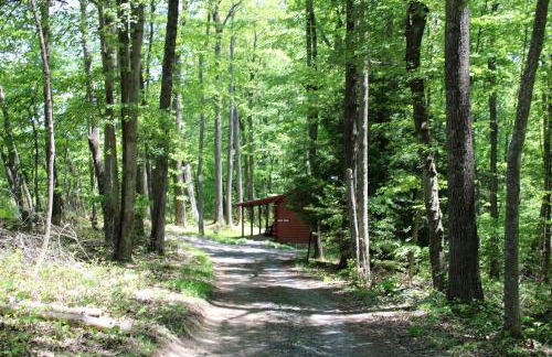 Romantic Cabin Rental in the Forest near Beckley, West Virginia - Foto 11