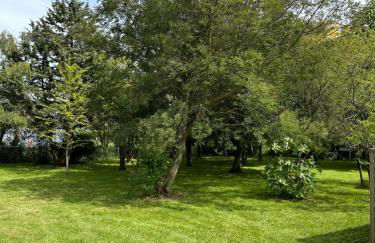 La salmoniere - Foto 30