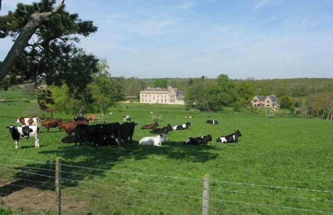 Moo Cow Cottage Self Catering - Foto 24