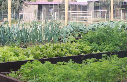 Casa dos meus avós -Villas - Gaia & Porto - Foto 50