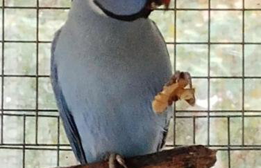 Apartament Nad Jeziorem Brenno - Foto 20