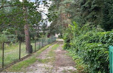 Haus Waldidyll am Briesensee - Foto 9