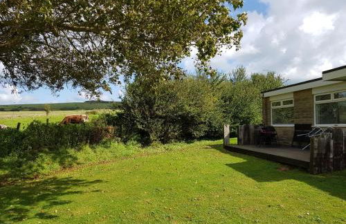 Crows Nest - Photo 4