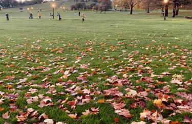 Amazing holidays home with a terrace - Foto 37