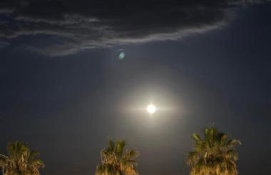 Casa con vistas al mar y jardín - Foto 29