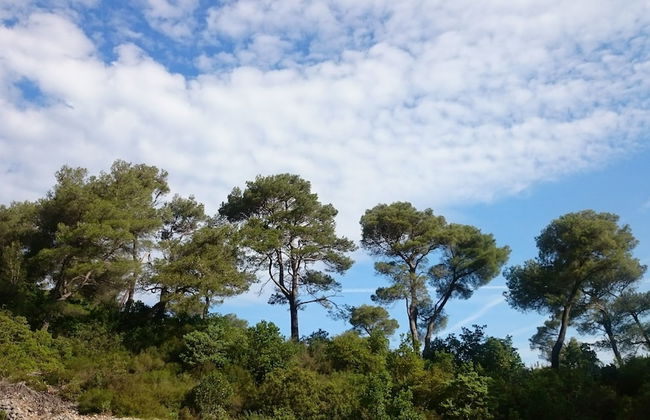 House Pod Humom - Foto 47