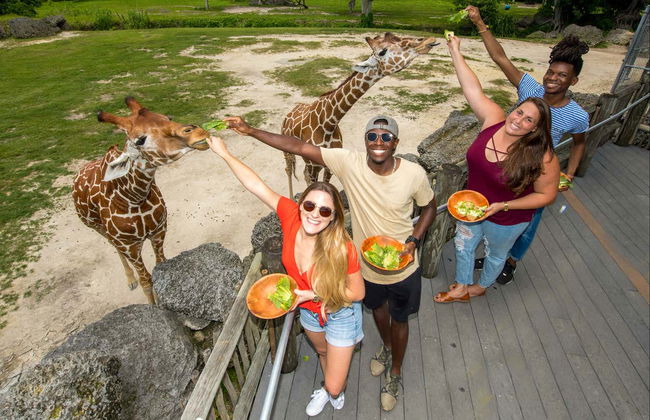 Entrada al Zoo de Miami - Foto 2