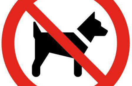 Lunair Ciudad de Medina - Foto 30