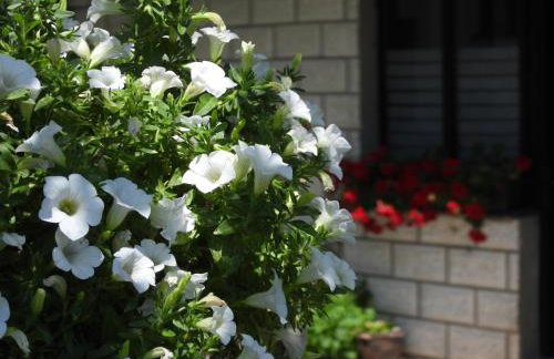 Zimski san - Foto 46