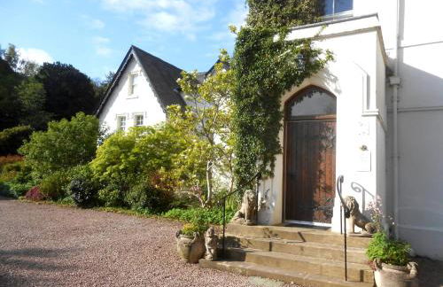 The Forest Country House B&B - Foto 11