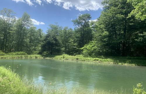 Gorgeous Cottage for Two, Overlooking Pond on 20 acres, Glamping in Pennsylvania - Foto 30