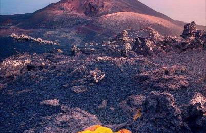 Casita La Rosa - Foto 64