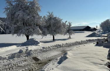 falternhof loft - geschichte trifft auf design - Foto 26