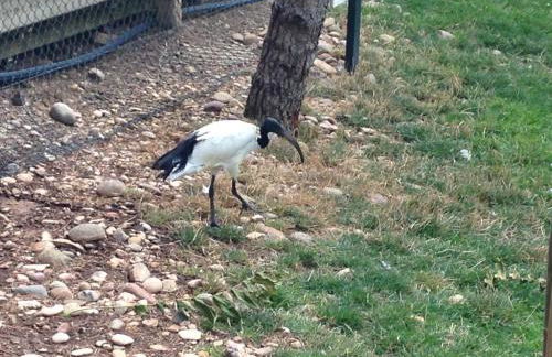 Apartamento Turistico Cigüeña de Arguedas - Foto 53