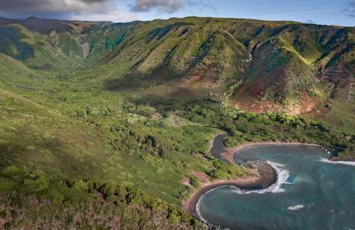 Molokai Island Retreat with Beautiful Ocean Views and Pool - Newly Remodeled! - Foto 24
