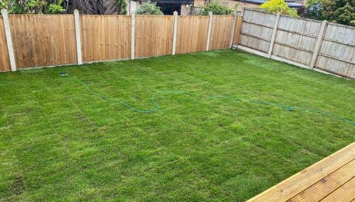 Binks Bungalow - Foto 2