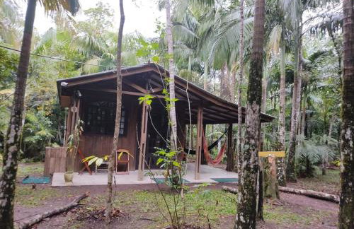 Chalé Saíra - casa simples no meio da Mata Atlântica! - Photo 13