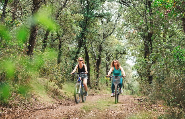 Chateau du Parc Pezenas - Foto 14