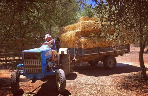Agriturismo Tenuta Sant'Antonio - Foto 31