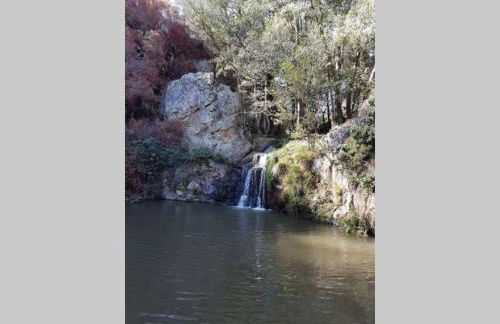 Palheirinho - Foto 35