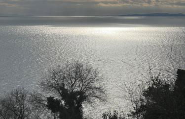 Kipos Mon Repos - Foto 7