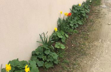 Studio pour 2 personnes à Tonnay Charente - Foto 17