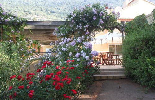 Residence Helios - Foto 24