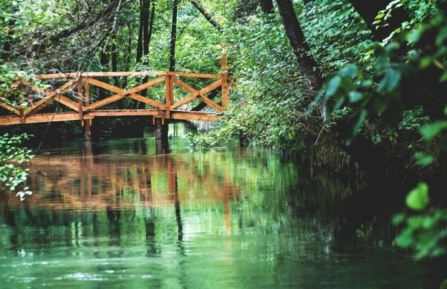 Relais Villa Selvatico - Foto 44