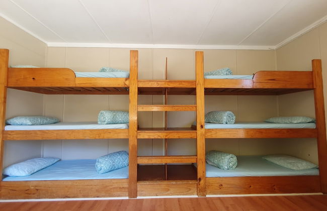 Dickson Holiday Park - Foto 37