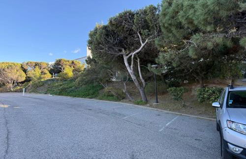 Maison paisible entre mer et montagne à Banyuls-sur-Mer - FR-1-309-515 - Foto 15