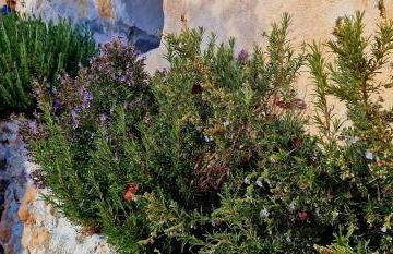 Casa CUEVA CASCAMORRAS "Capricho Andaluz" - Photo 61