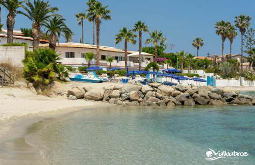 Residence Albatros - Foto 3