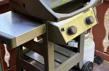 Rustic Vacation Rental with a Charming Dock in Ocala National Forest, Florida - Photo 29