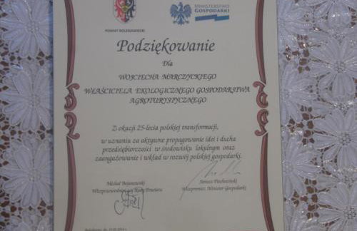 Agroturystyka Leśna Chata - Foto 20