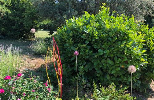 Le Grès 313 - Photo 34